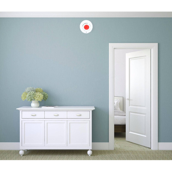 Carbon Monoxide + Smoke Alarm Acousto-Optic Alarm LED Indicator Alarm