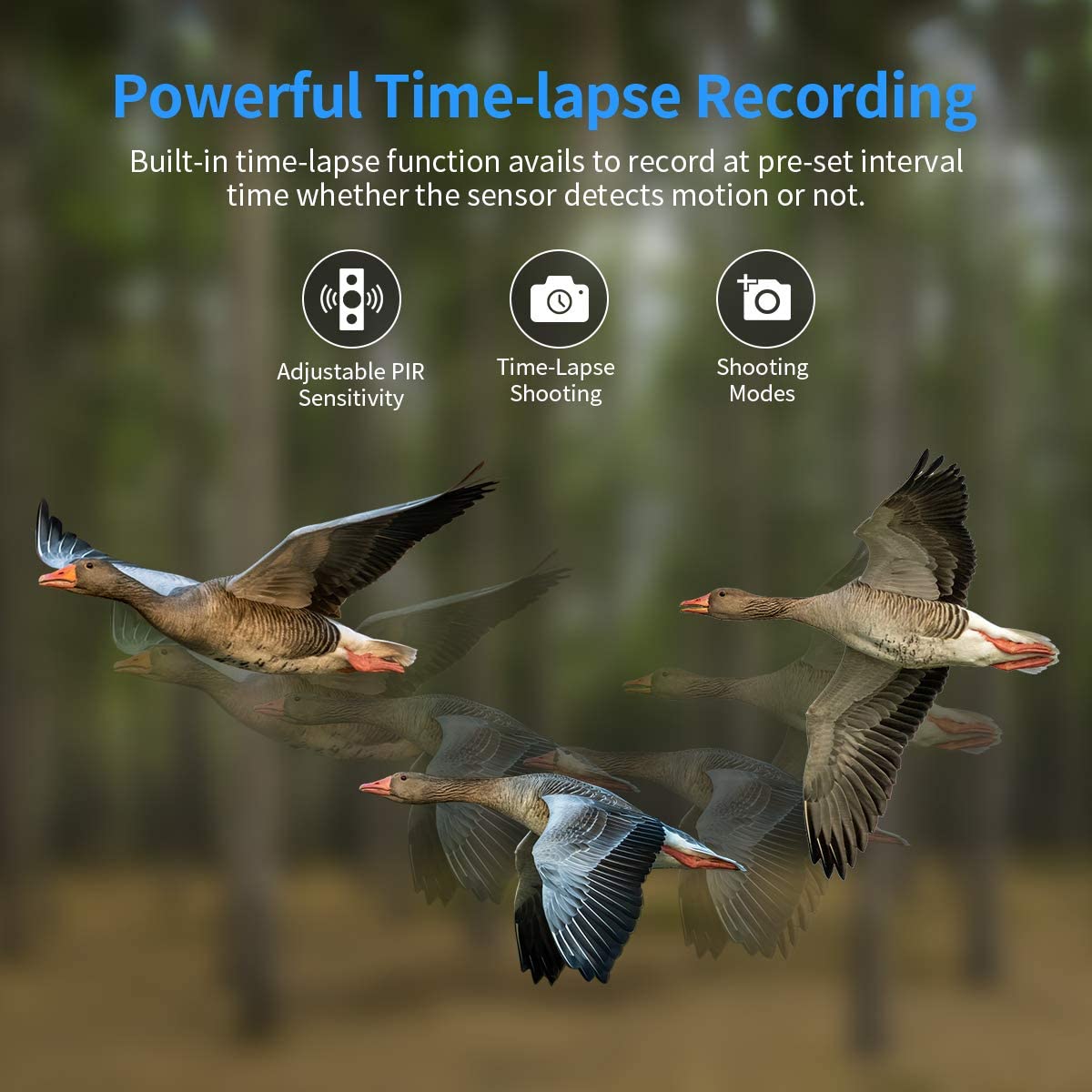 Suntek DL023 20MP HD 1080P 0.2s Trigger Time Waterproof IP65 IR Night Vision Hunting Camera Trail Camera Outdoor Wildlife Monitoring Home Security Surveillance