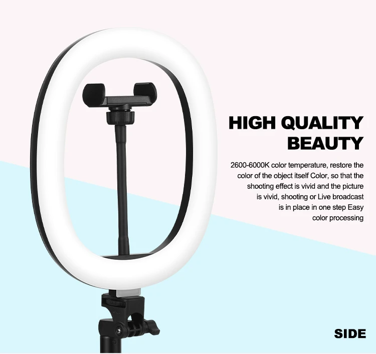 MZ-10 10 Inch Integrated Telescopic Folding Live Fill Light 3 Light Modes 10 Brightness Level Dimmable LED Ring Light for Makeup Photography YouTube Vlog TIK Tok