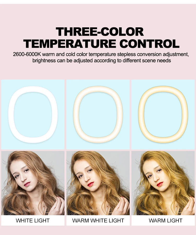 MZ-10 10 Inch Integrated Telescopic Folding Live Fill Light 3 Light Modes 10 Brightness Level Dimmable LED Ring Light for Makeup Photography YouTube Vlog TIK Tok